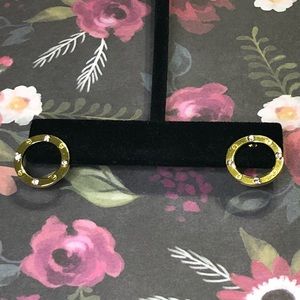 Stainless steel earrings